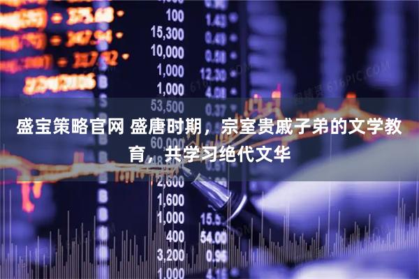 盛宝策略官网 盛唐时期，宗室贵戚子弟的文学教育，共学习绝代文华
