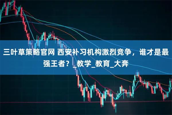 三叶草策略官网 西安补习机构激烈竞争，谁才是最强王者？_教学_教育_大奔