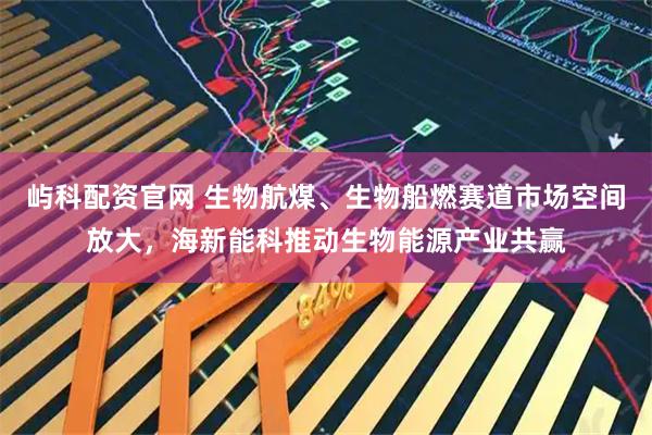 屿科配资官网 生物航煤、生物船燃赛道市场空间放大，海新能科推动生物能源产业共赢