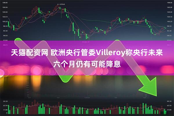 天猫配资网 欧洲央行管委Villeroy称央行未来六个月仍有可能降息