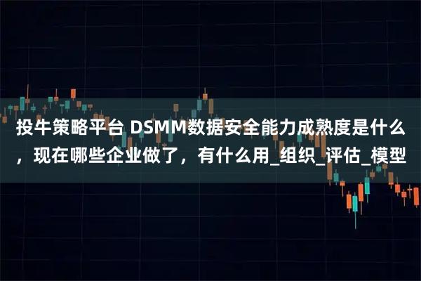 投牛策略平台 DSMM数据安全能力成熟度是什么，现在哪些企业做了，有什么用_组织_评估_模型