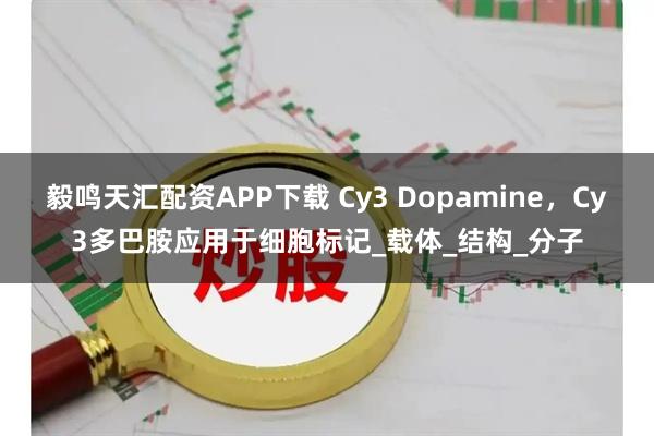 毅鸣天汇配资APP下载 Cy3 Dopamine,Cy3多巴胺应用于细胞标记_载体_结构_分子