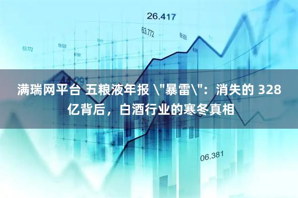 满瑞网平台 五粮液年报 